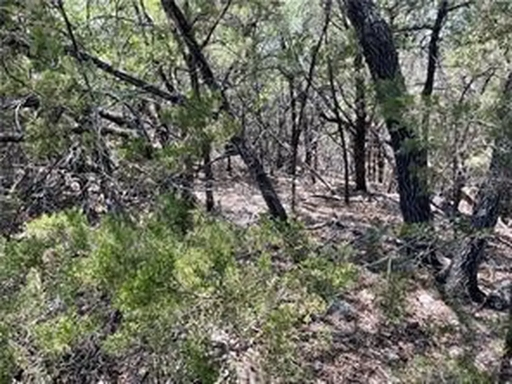 20610 Agarita Drive Leander TX 78645