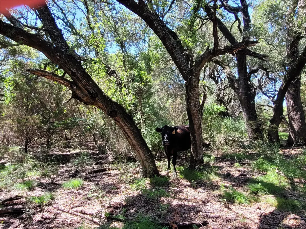 Tbd Cr 1139 575 Acres Lampasas TX 76550