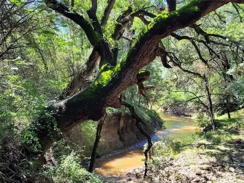 Tbd Cr 1139 575 Acres Lampasas TX 76550