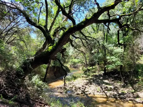 Tbd Cr 1139 575 Acres Lampasas TX 76550
