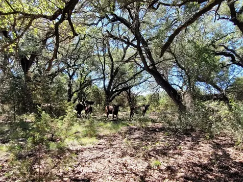Tbd Cr 1139 575 Acres Lampasas TX 76550