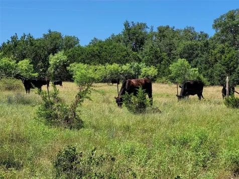 Tbd Cr 1139 575 Acres Lampasas TX 76550