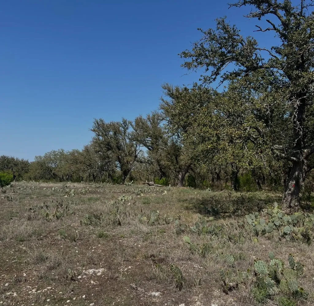 Lot 42 Waterbuck Way Lampasas TX 76550