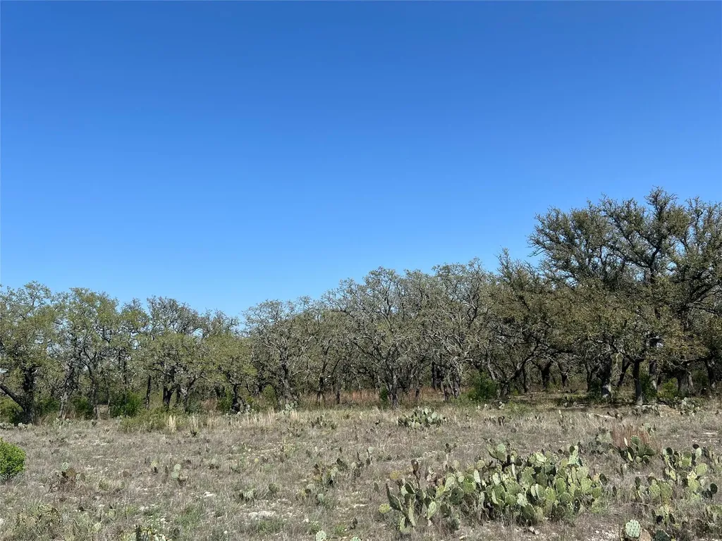 Lot 42 Waterbuck Way Lampasas TX 76550