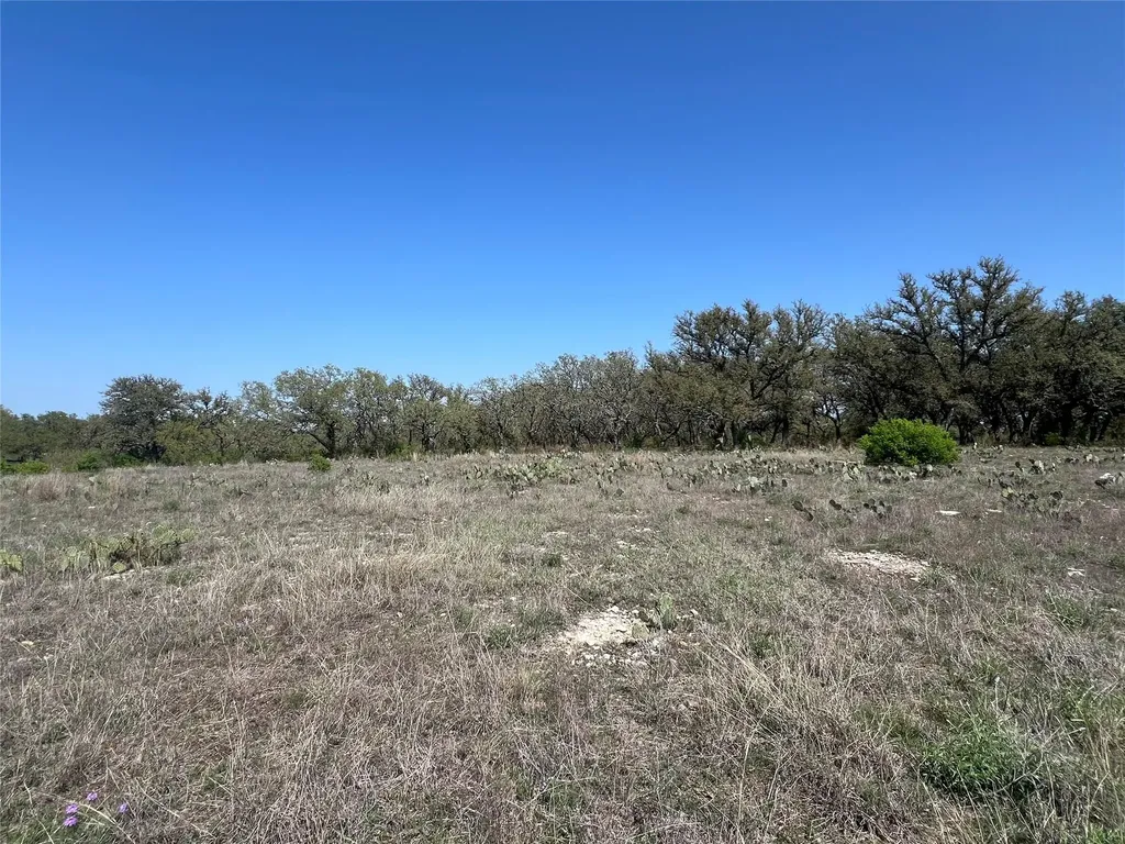Lot 42 Waterbuck Way Lampasas TX 76550