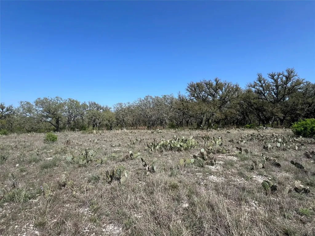 Lot 42 Waterbuck Way Lampasas TX 76550