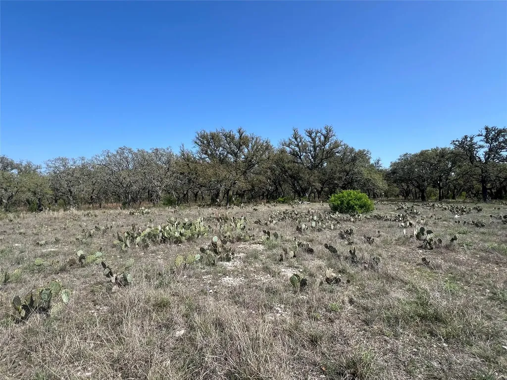Lot 42 Waterbuck Way Lampasas TX 76550