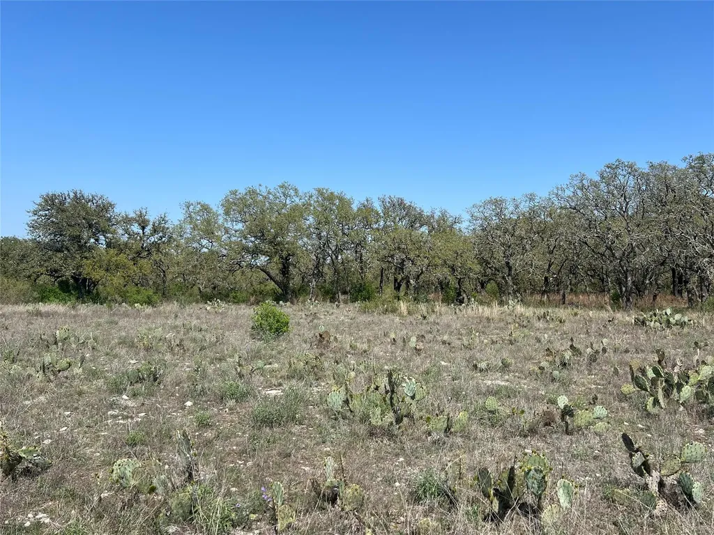 Lot 42 Waterbuck Way Lampasas TX 76550