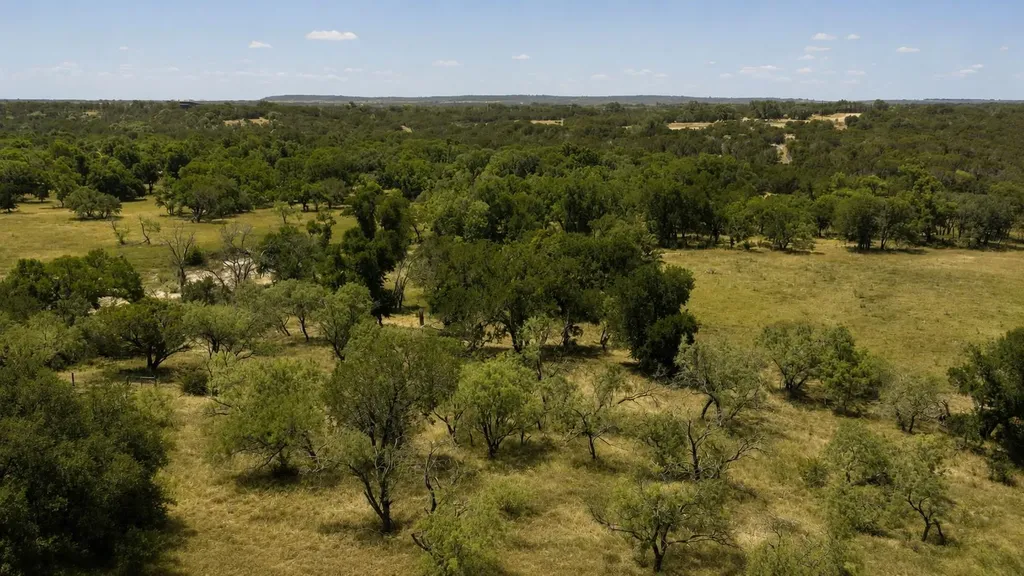 Lot 55 Buffalo Creek Drive Evant TX 76525