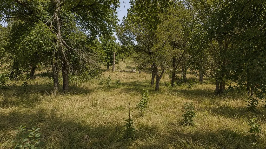 Lot 55 Buffalo Creek Drive Evant TX 76525