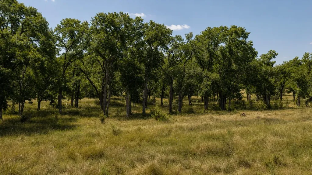 Lot 55 Buffalo Creek Drive Evant TX 76525
