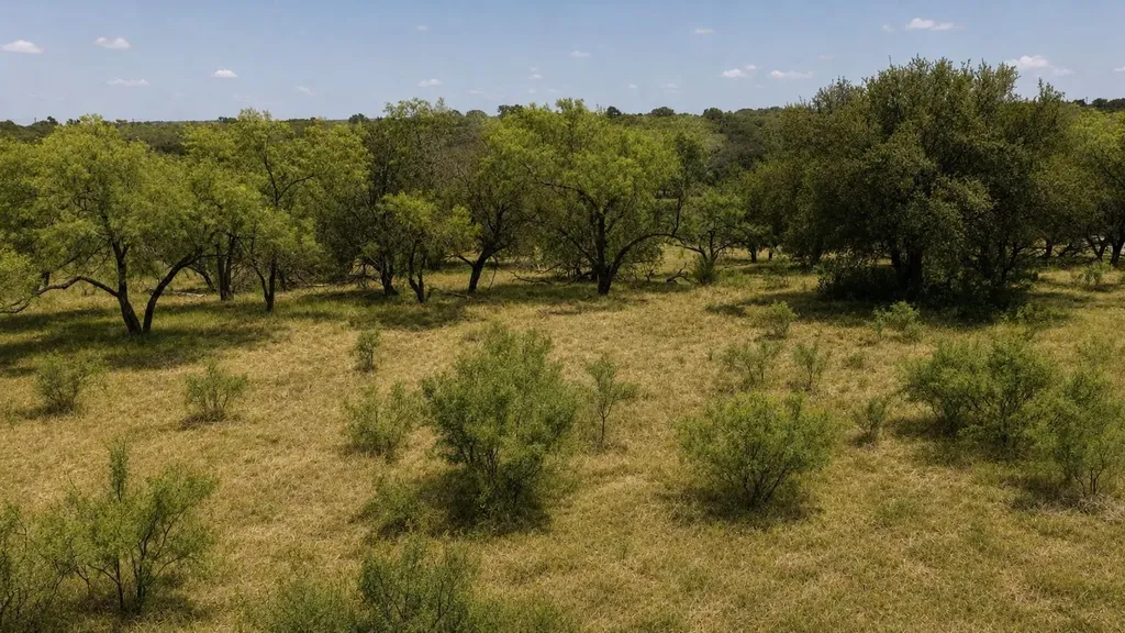 Lot 55 Buffalo Creek Drive Evant TX 76525