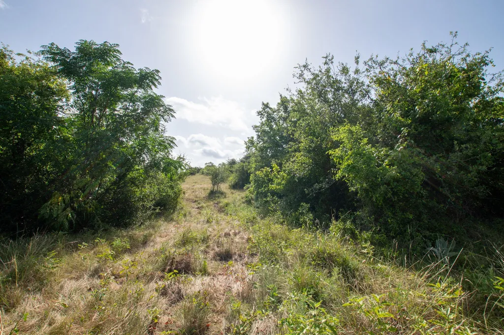 102 Fm-1047 Evant TX 76880