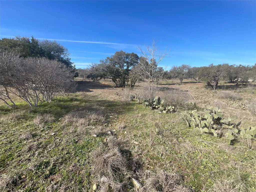 1909 Performer Road Spicewood TX 78669