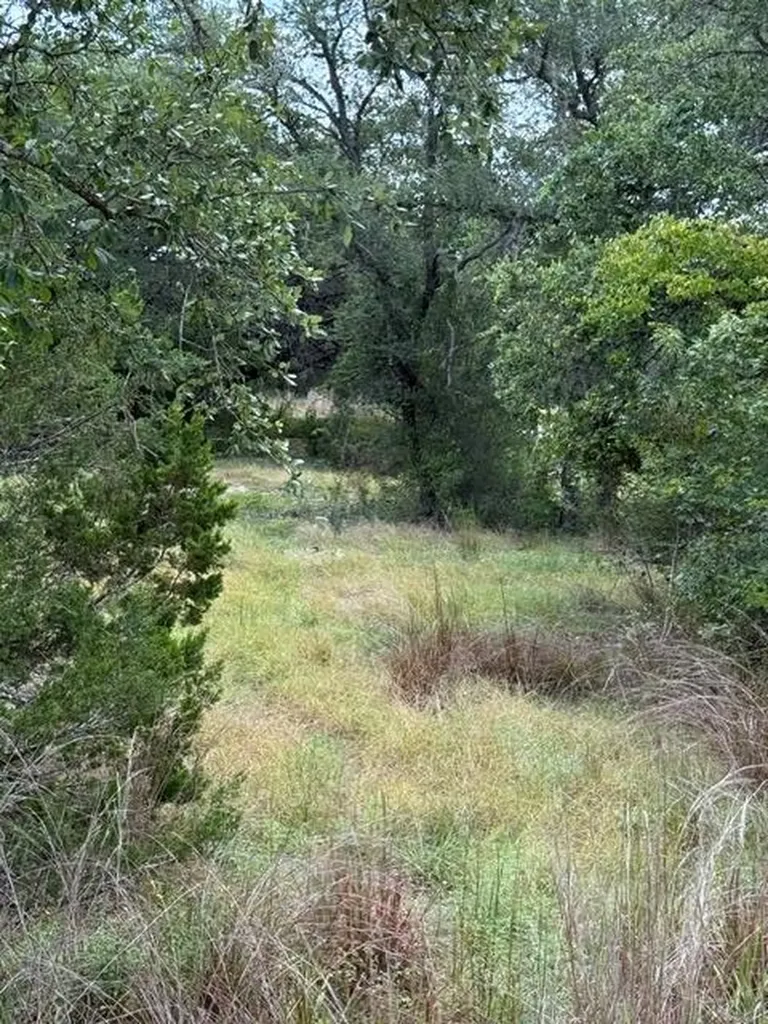 25402 Fawn Drive Leander TX 78641