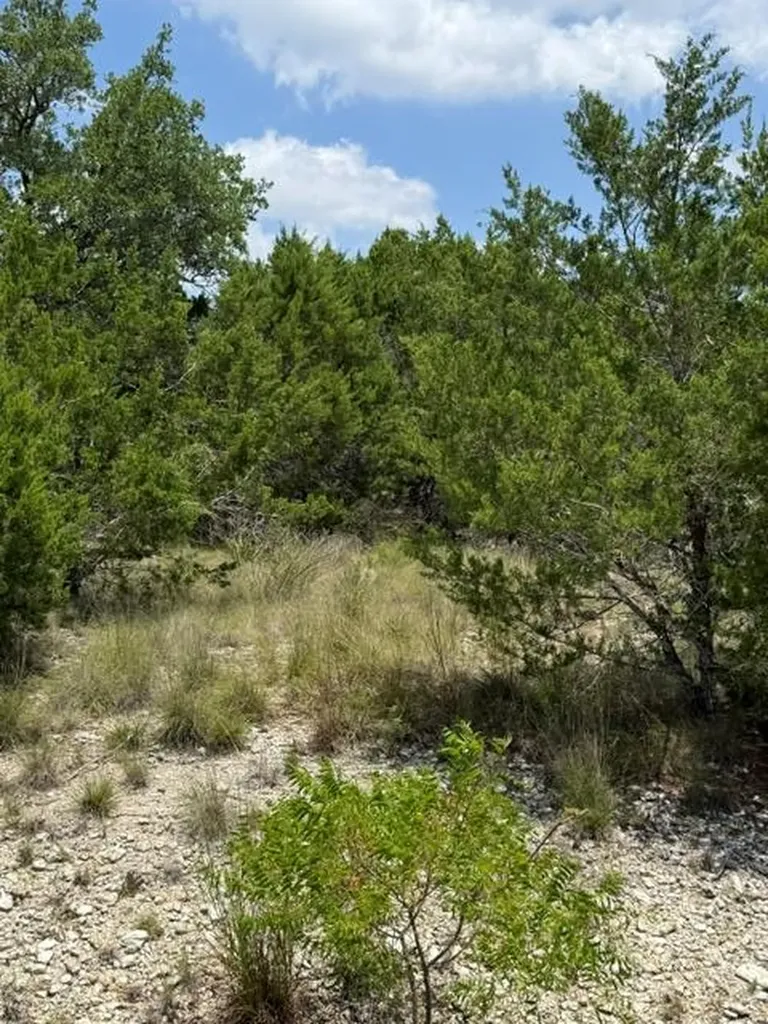 25402 Fawn Drive Leander TX 78641