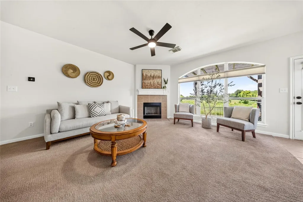 738 Bent Wood Place Round Rock TX 78665
