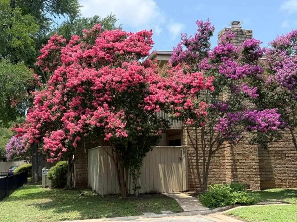 8340 Fathom Circle Austin TX 78750