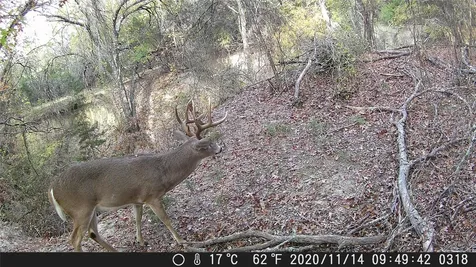 Tbd Fm 1047 Lometa TX 76853