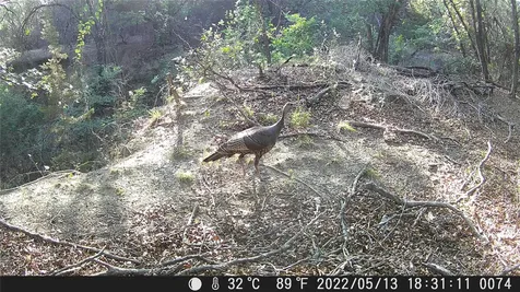 Tbd Fm 1047 Lometa TX 76853