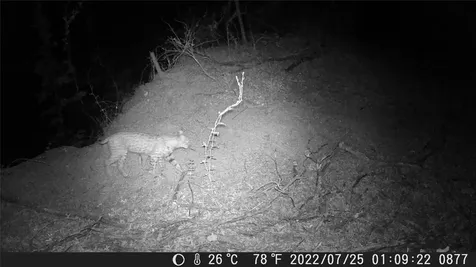 Tbd Fm 1047 Lometa TX 76853