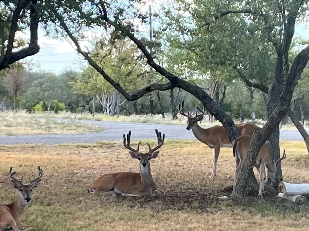 2203 Improver Road Spicewood TX 78669