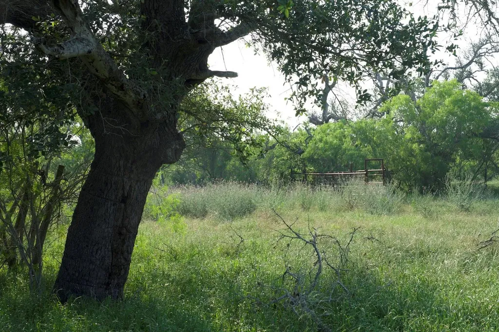 Tbd Taylorsville Road Red Rock TX 78662
