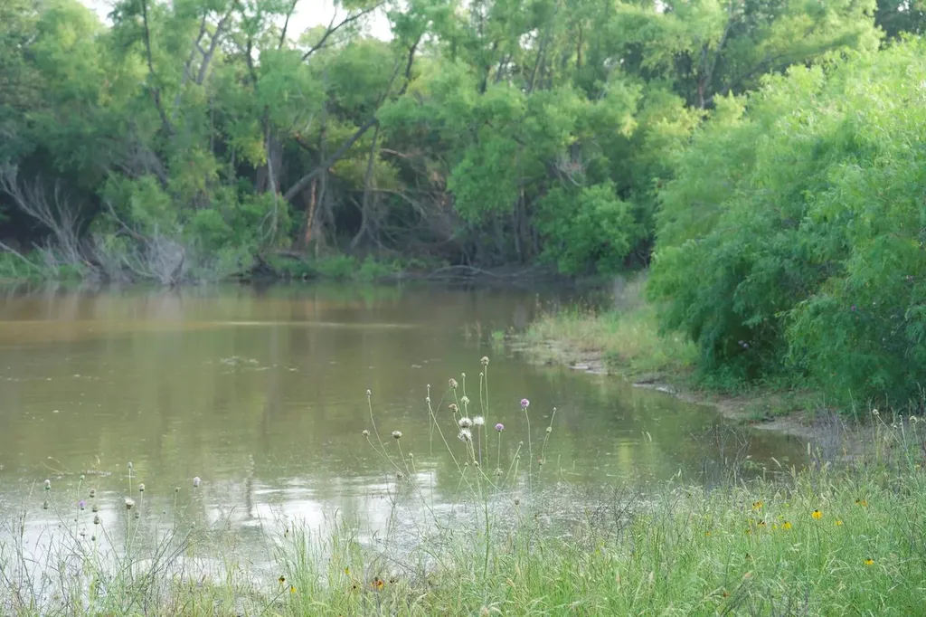 Tbd Taylorsville Road Red Rock TX 78662
