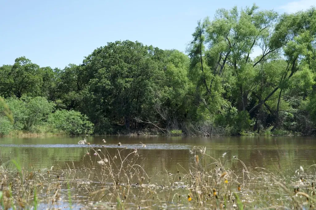 Tbd Taylorsville Road Red Rock TX 78662