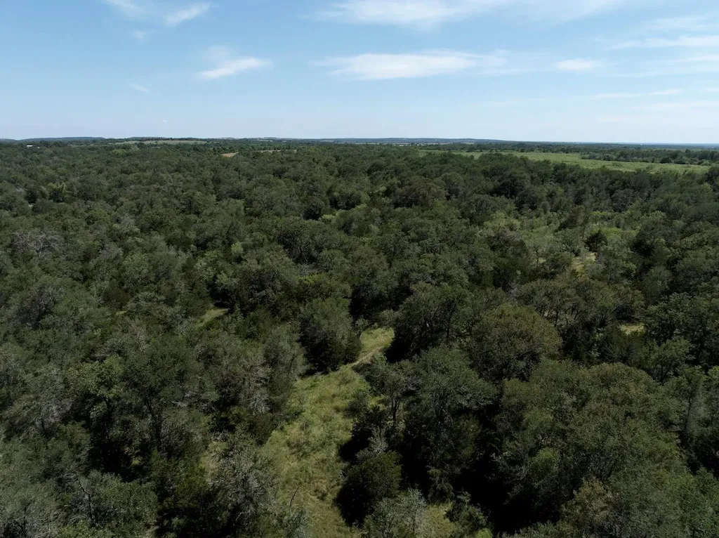 Tbd Taylorsville Road Red Rock TX 78662