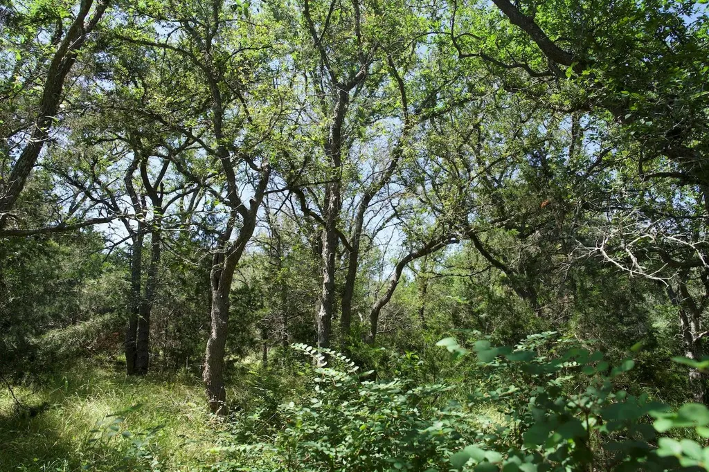 Tbd Taylorsville Road Red Rock TX 78662