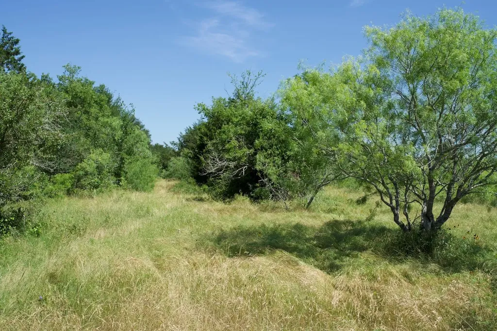 Tbd Taylorsville Road Red Rock TX 78662