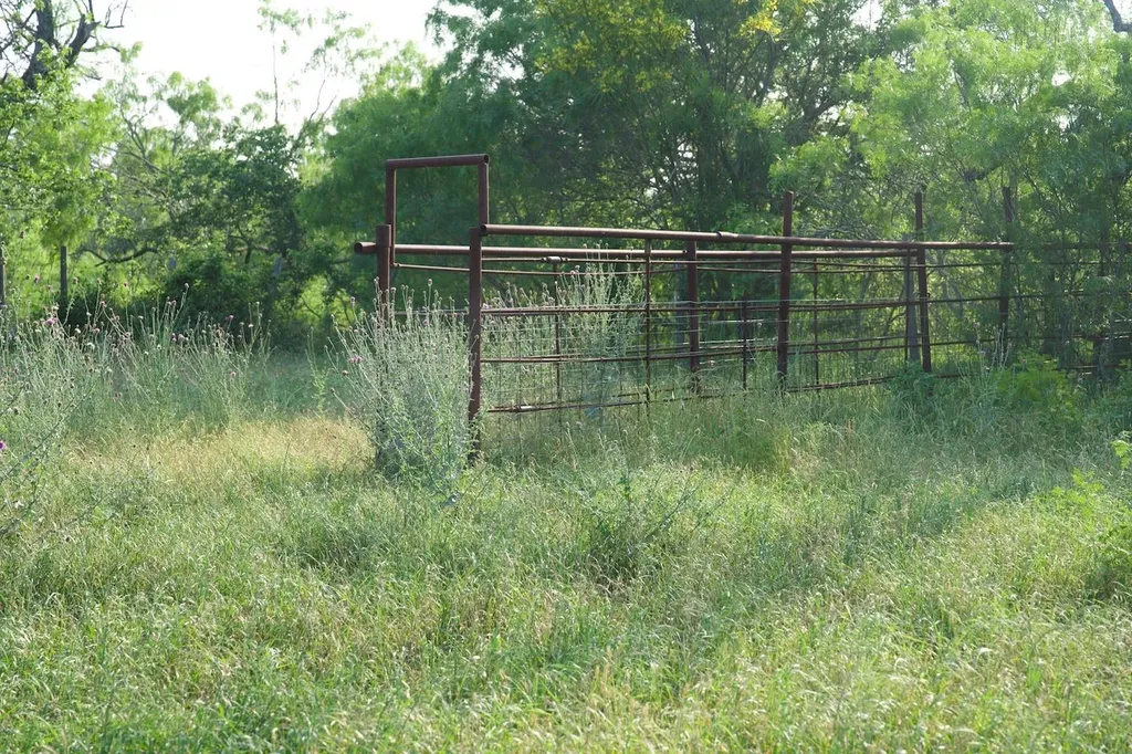 Tbd Taylorsville Road Red Rock TX 78662