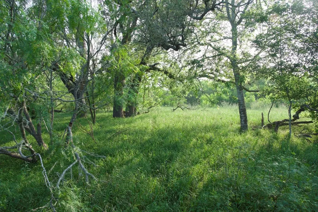 Tbd Taylorsville Road Red Rock TX 78662