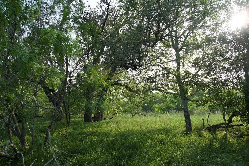 Tbd Taylorsville Road Red Rock TX 78662