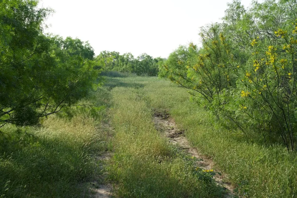 Tbd Taylorsville Road Red Rock TX 78662