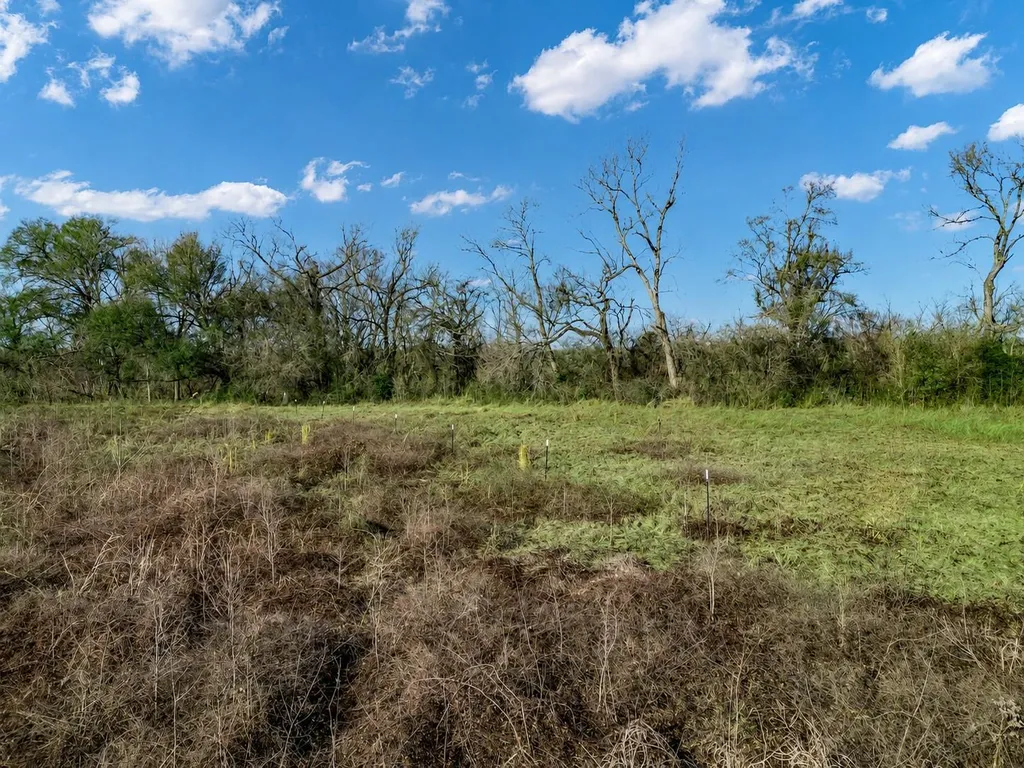 19 County Road 721 Groesbeck TX 76653