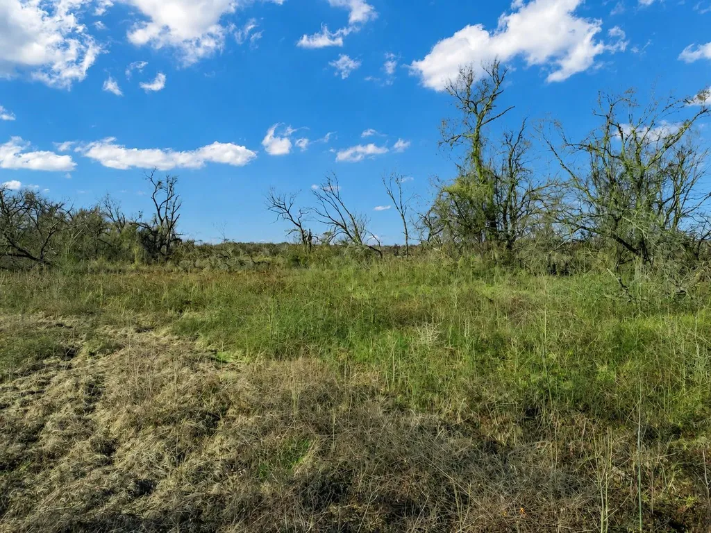 19 County Road 721 Groesbeck TX 76653