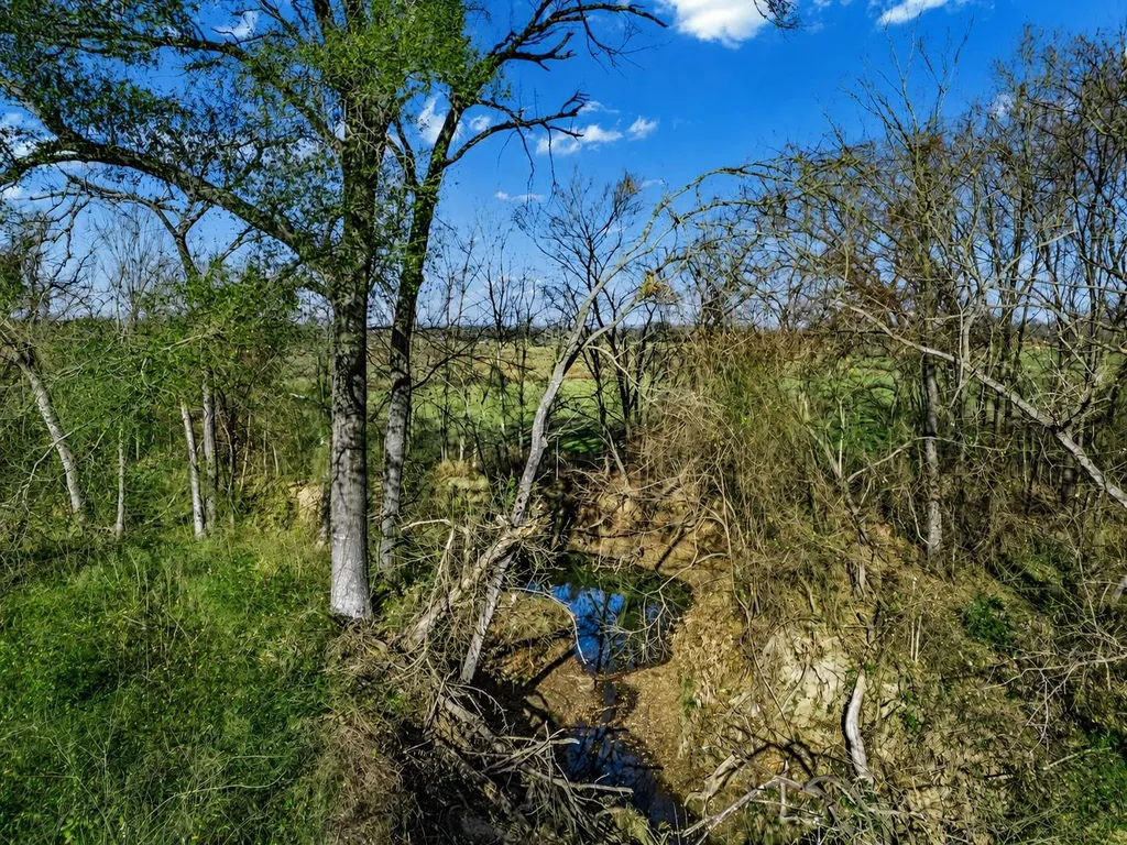 19 County Road 721 Groesbeck TX 76653