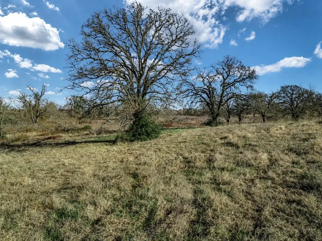 19 County Road 721 Groesbeck TX 76653