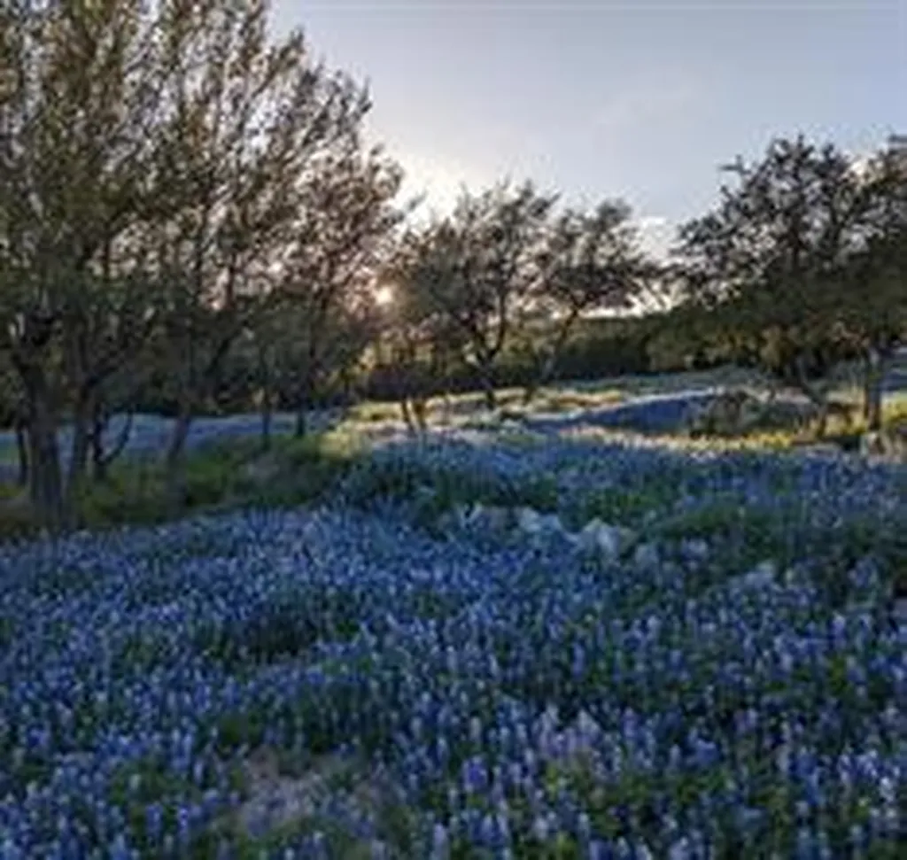 4115 Noon Day Cove Spicewood TX 78669