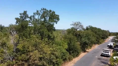 20900 Trappers Trail Manor TX 78653
