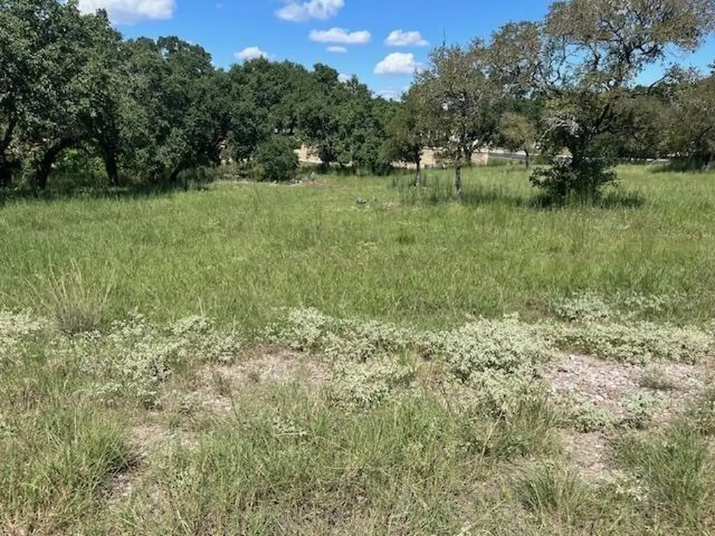 W1111 Blister Gold / Bay West Boulevard Horseshoe Bay TX 78657