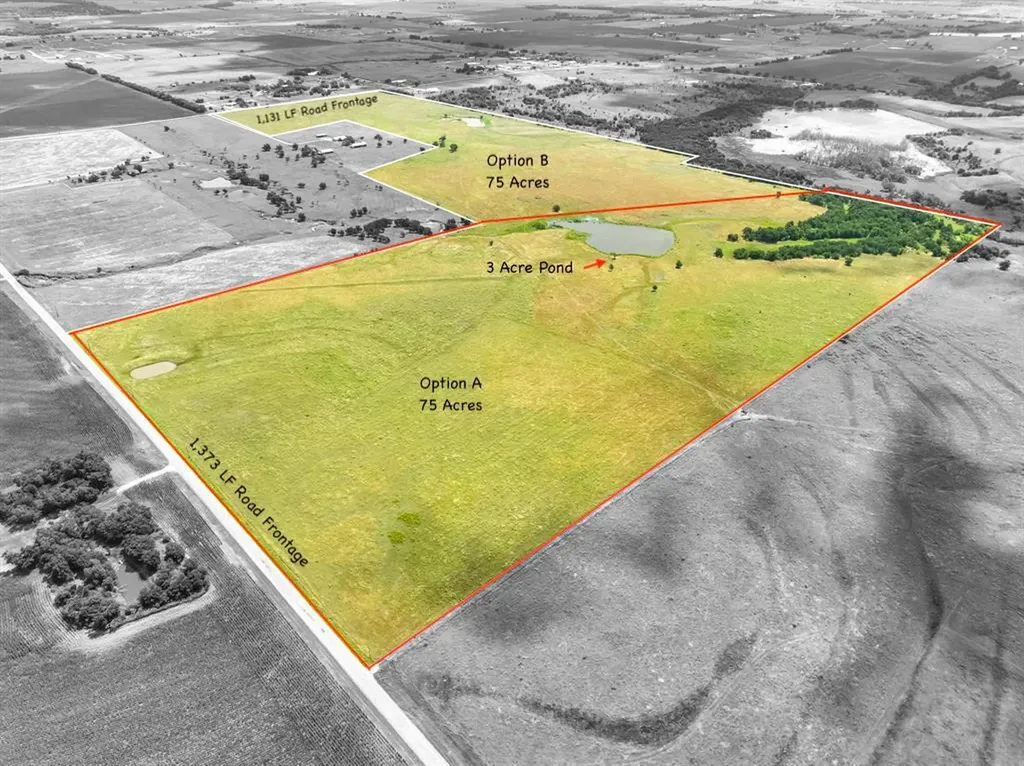 Tract 1 - 75 Acres County Road 419 Taylor TX 76574