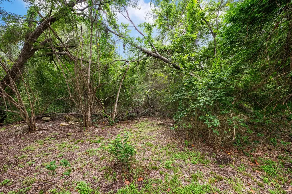 1132 Eleanor Street Austin TX 78721