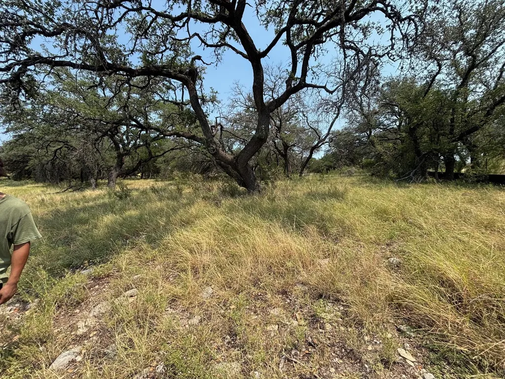 2701 Custer Cove Leander TX 78645