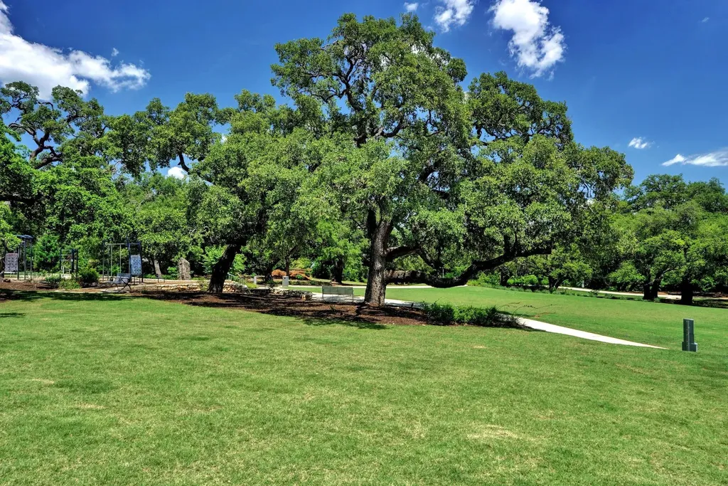 4209 Elevator Drive Austin TX 78731