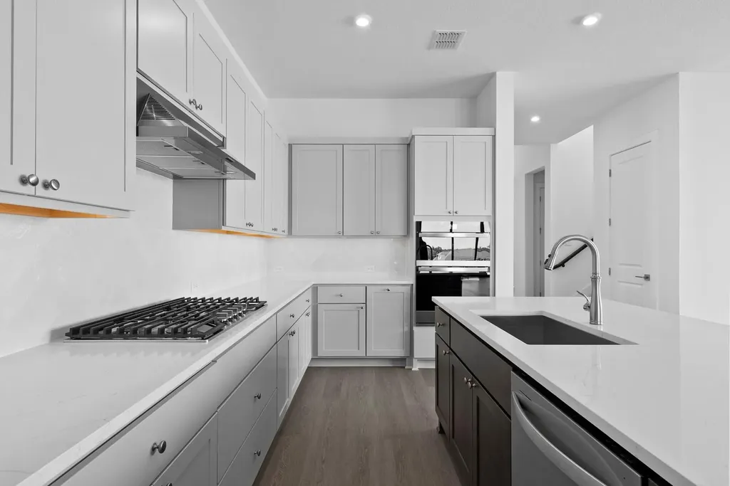 1321 White Mistflower Drive Leander TX 78641