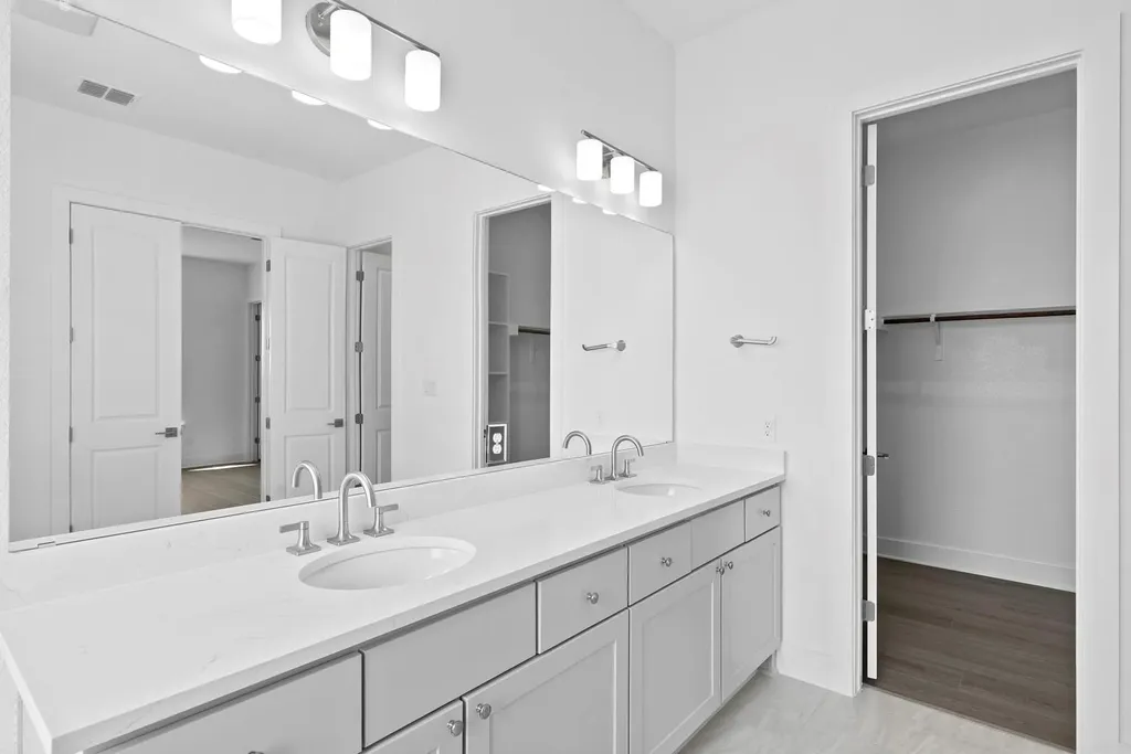 1321 White Mistflower Drive Leander TX 78641