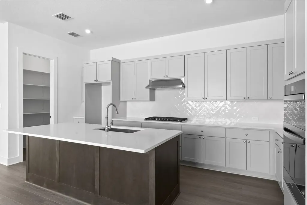 1321 White Mistflower Drive Leander TX 78641